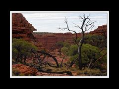 Am Kings Canyon 04