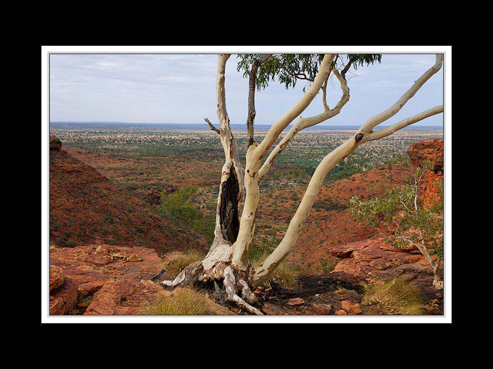 Am Kings Canyon 05