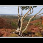 Am Kings Canyon 05