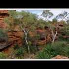 Am Kings Canyon 10