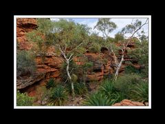 Am Kings Canyon 10