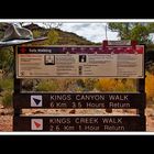 Am Kings Canyon 13