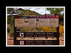 Am Kings Canyon 13