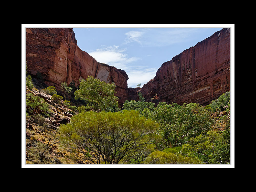 Am Kings Canyon 14