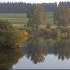 Am Kirnbergsee im Schwarzwald