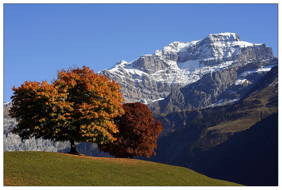 Am Klausen Pass