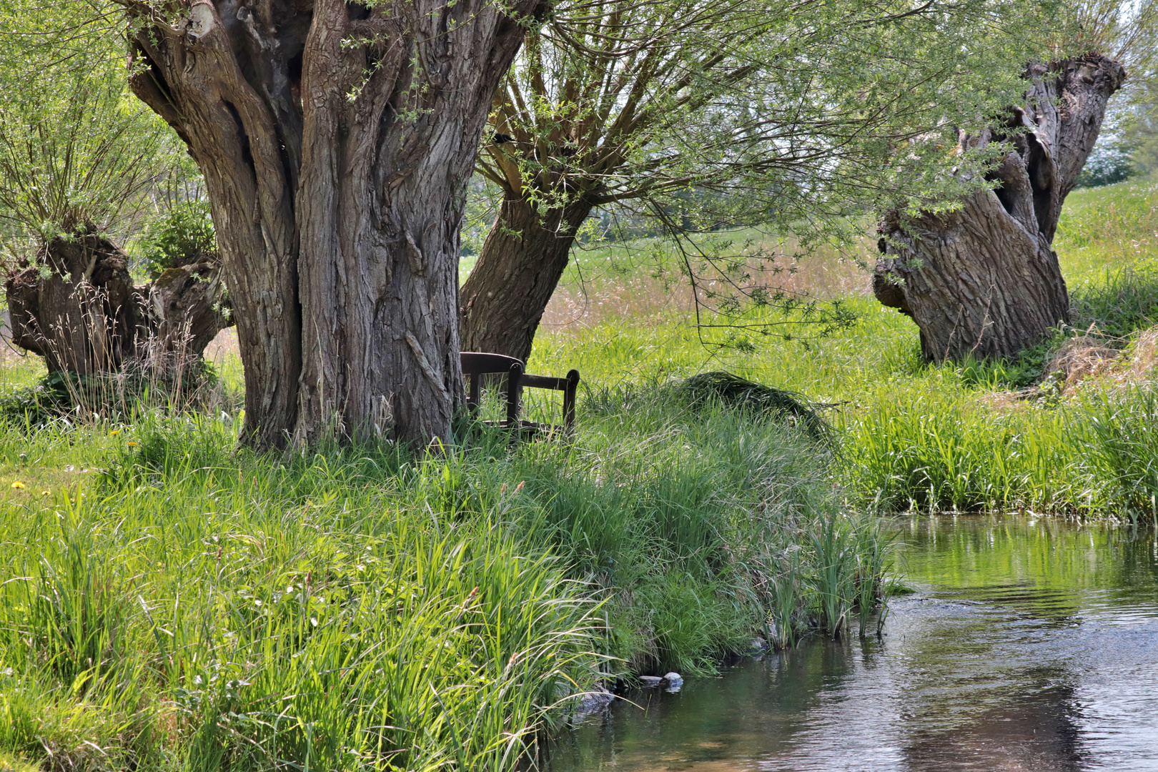 Am kleine Fluss