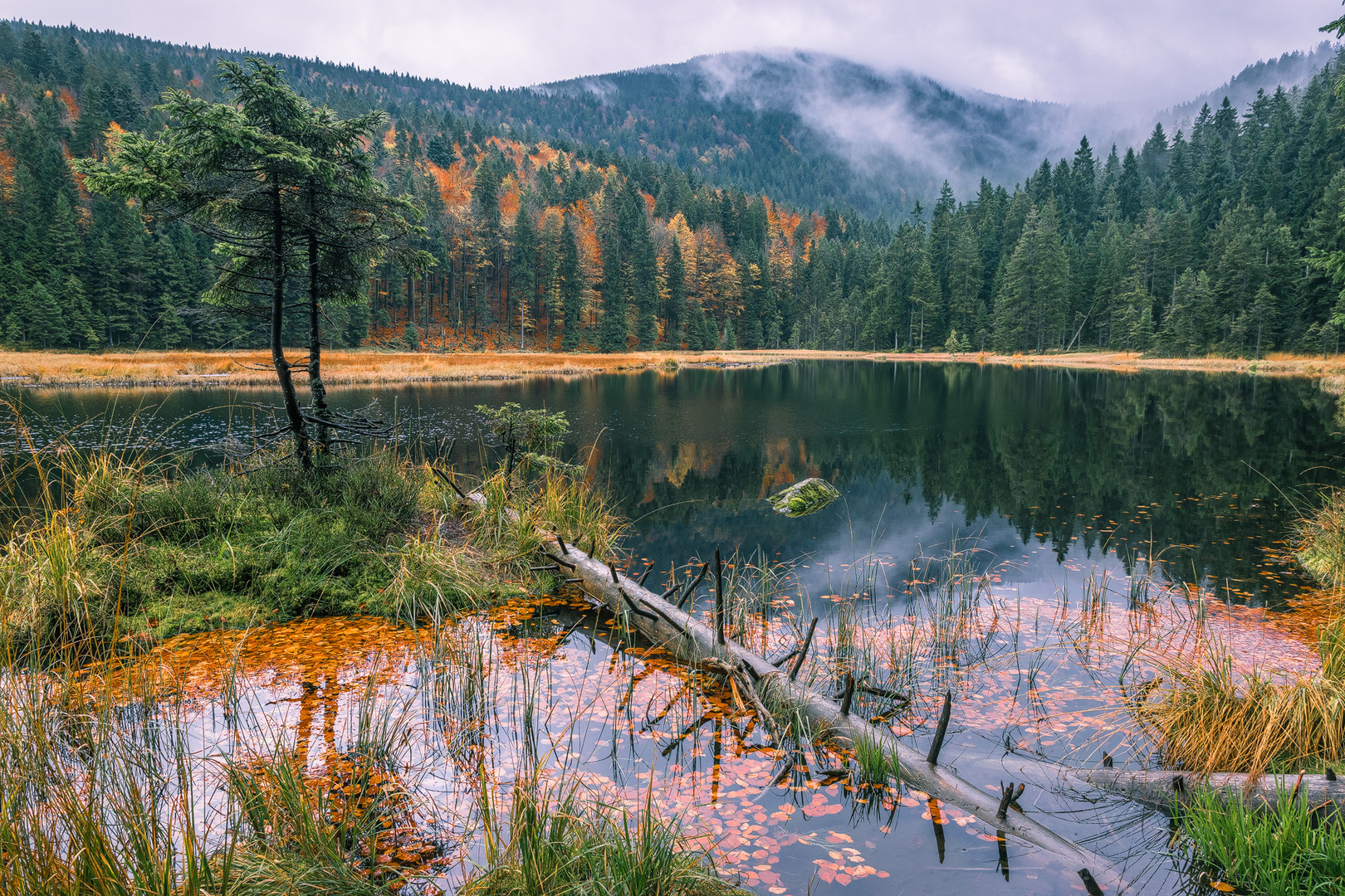 Am Kleinen Arbersee 2