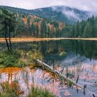 Am Kleinen Arbersee 2