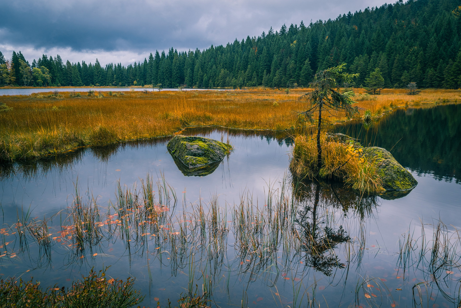 Am kleinen Arbersee