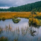 Am kleinen Arbersee