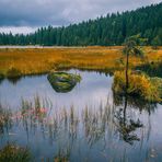 Am kleinen Arbersee