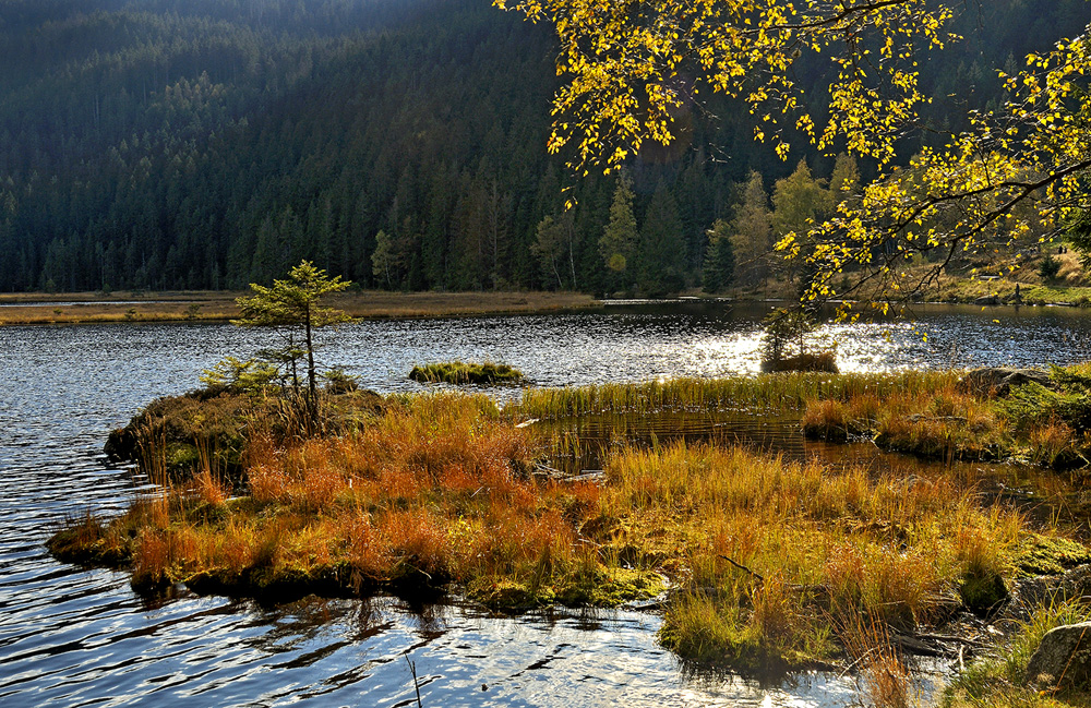 Am kleinen Arbersee