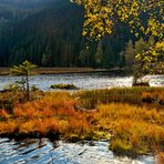 Am kleinen Arbersee