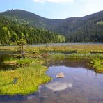 Am Kleinen Arbersee…