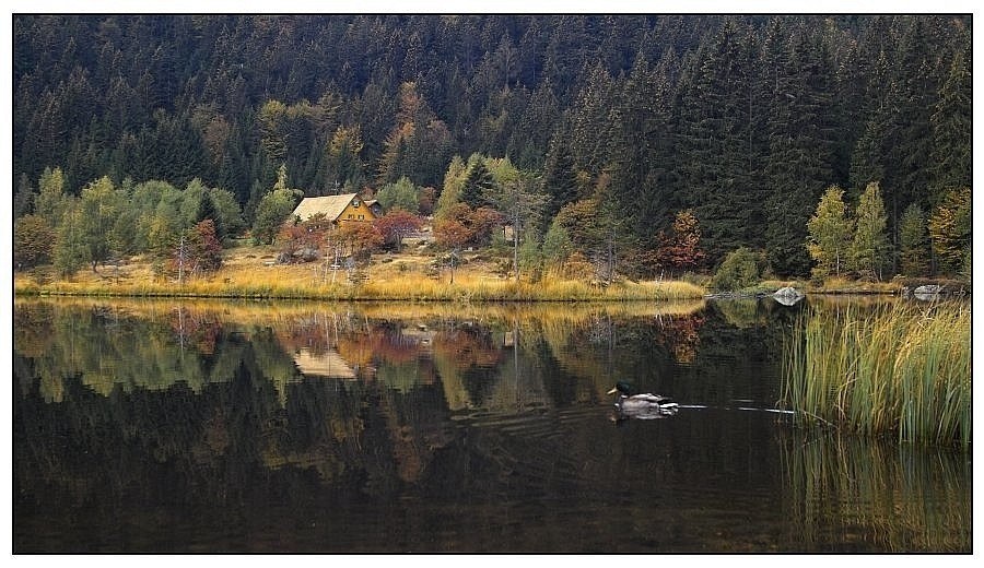 am kleinen arbersee