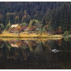 am kleinen arbersee