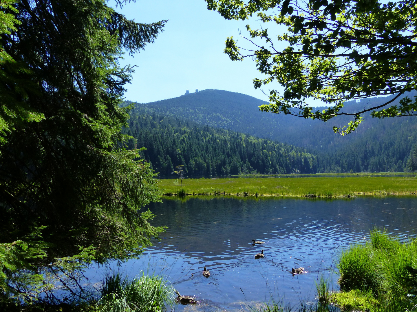 Am "Kleinen Arbersee"