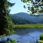 Am "Kleinen Arbersee"