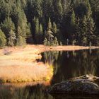 am kleinen Arbersee