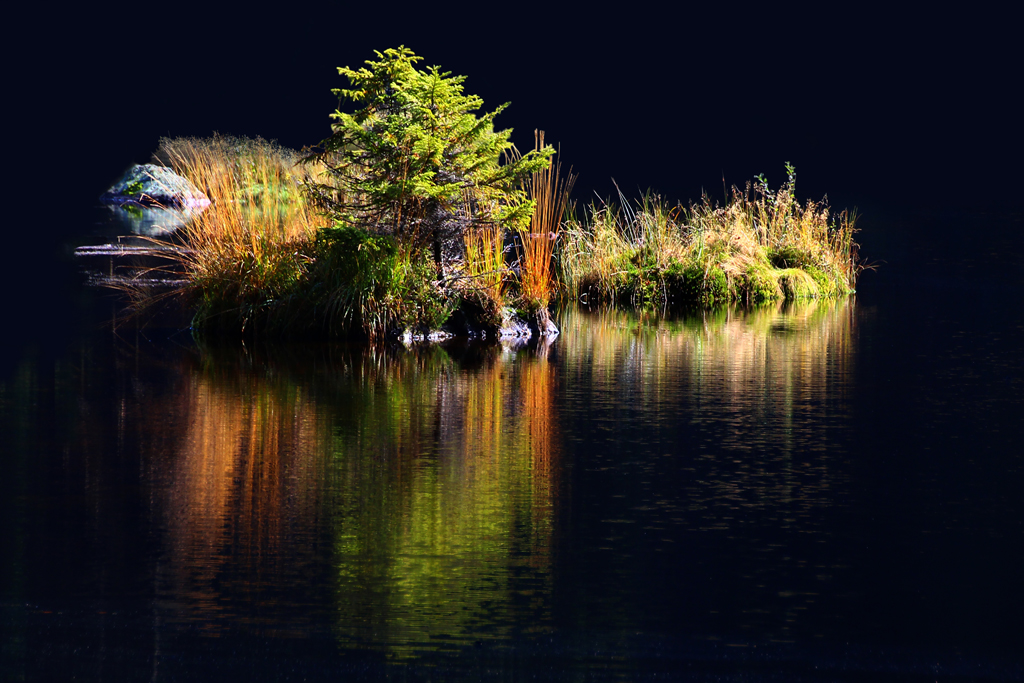 am kleinen Arbersee