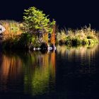 am kleinen Arbersee