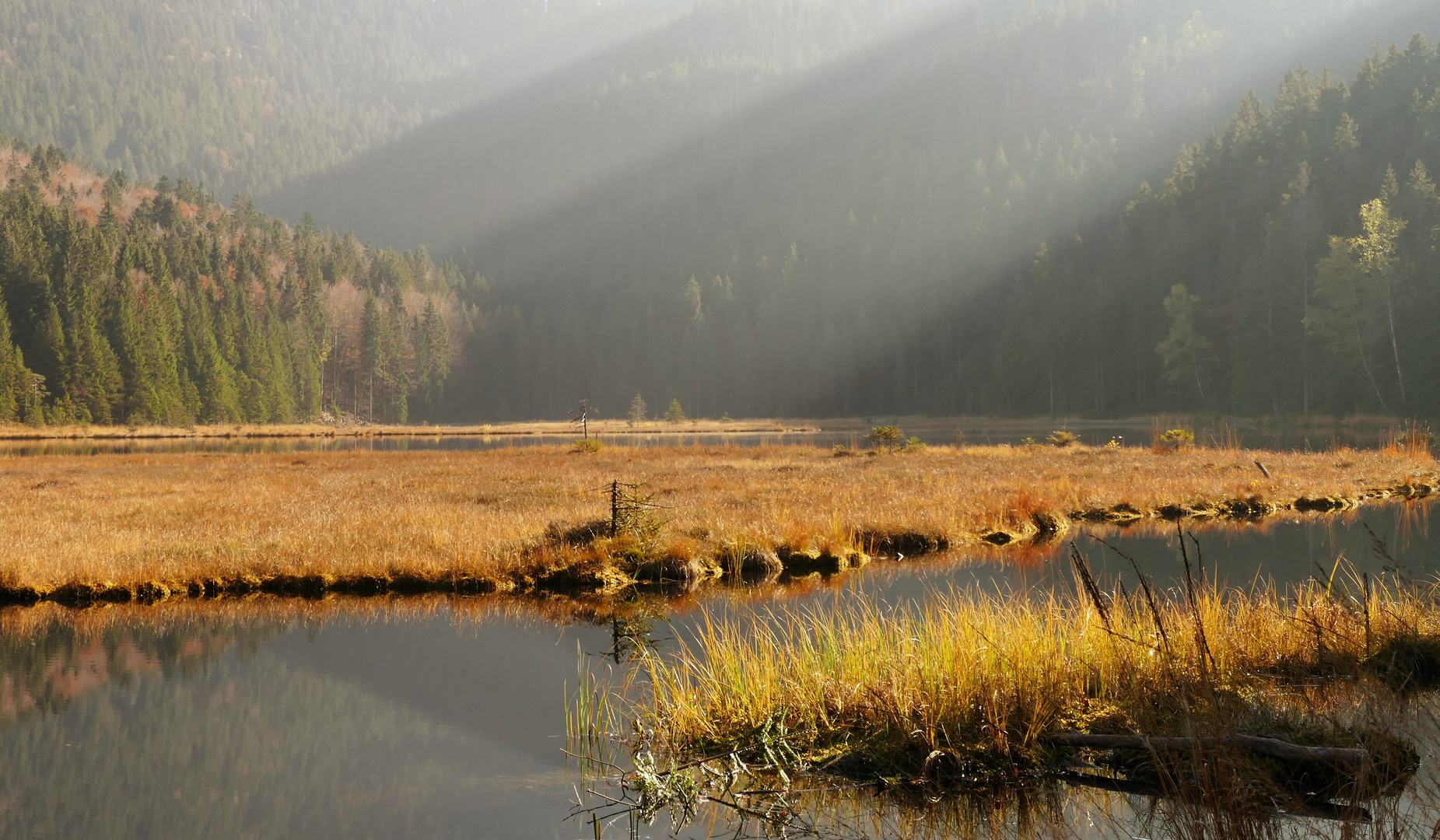 Am kleinen Arbersee