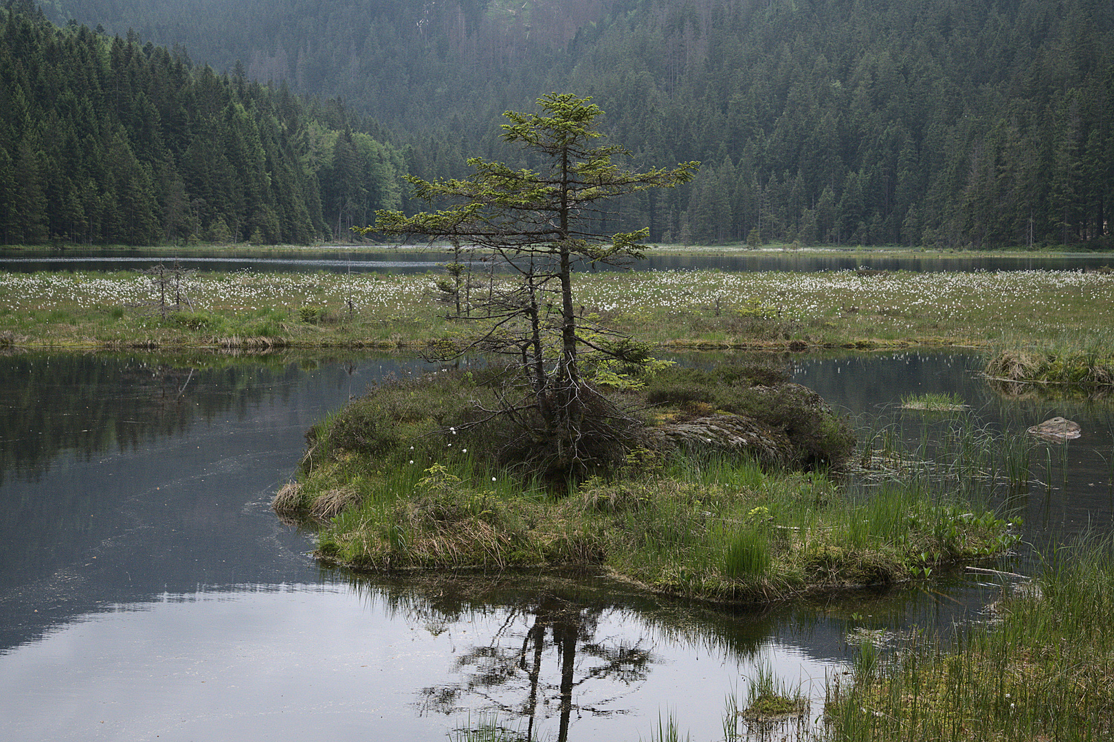 Am Kleinen Arbersee