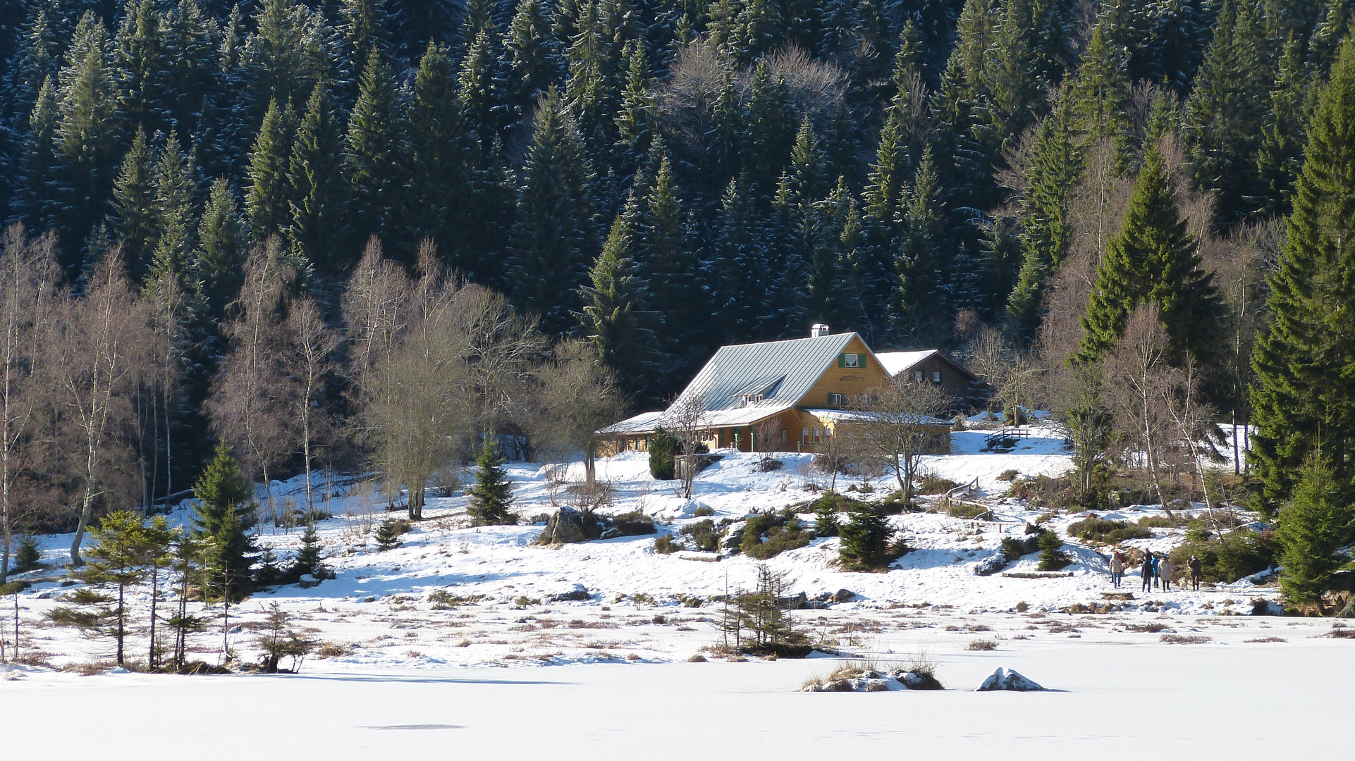 am Kleinen Arbersee  im Bayerischen 