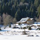 am Kleinen Arbersee  im Bayerischen 