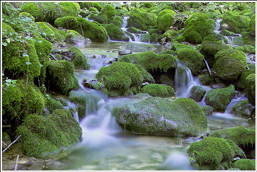 Am kleinen Bach