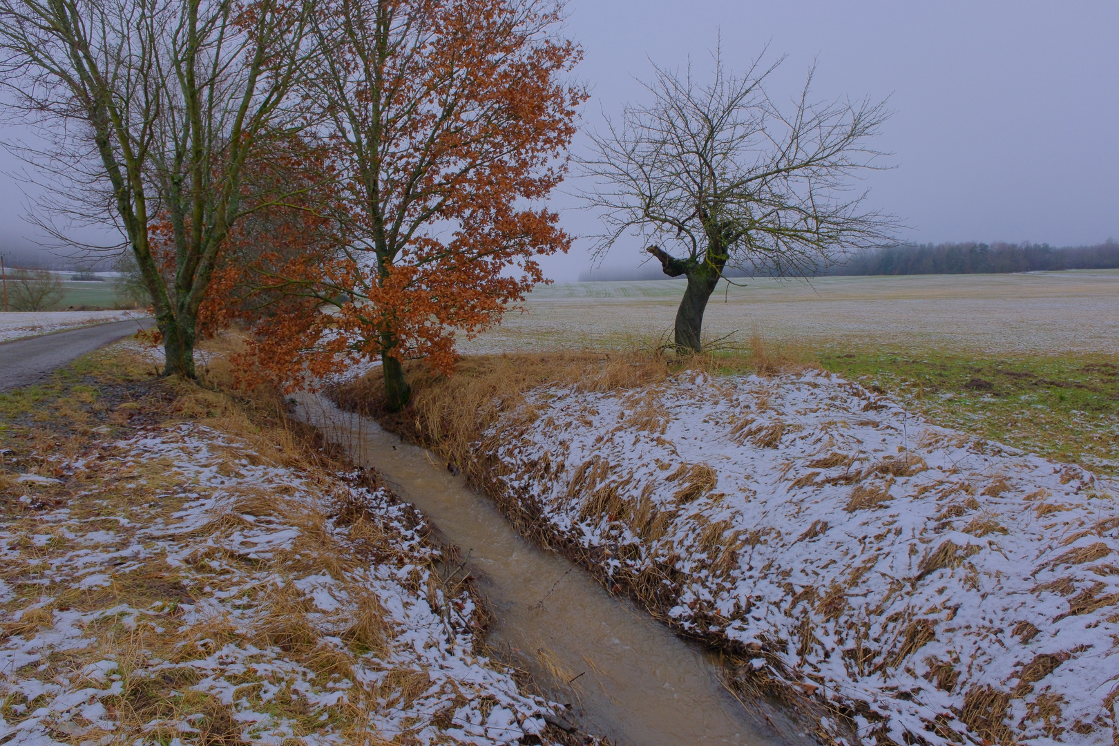 am kleinen Bach