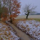 am kleinen Bach