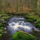 Am kleinen Bach