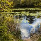 Am kleinen Beggersee