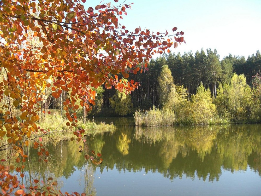 Am kleinen Bernsteinsee 1