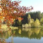 Am kleinen Bernsteinsee 1