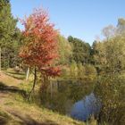 Am kleinen Bernsteinsee 2