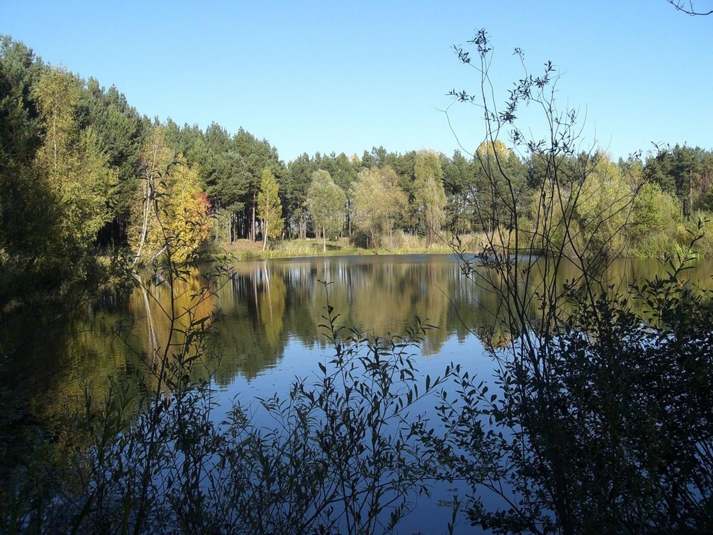 Am kleinen Bernsteinsee 3