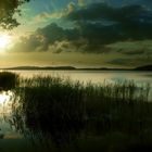 Am kleinen Bodden auf Rügen