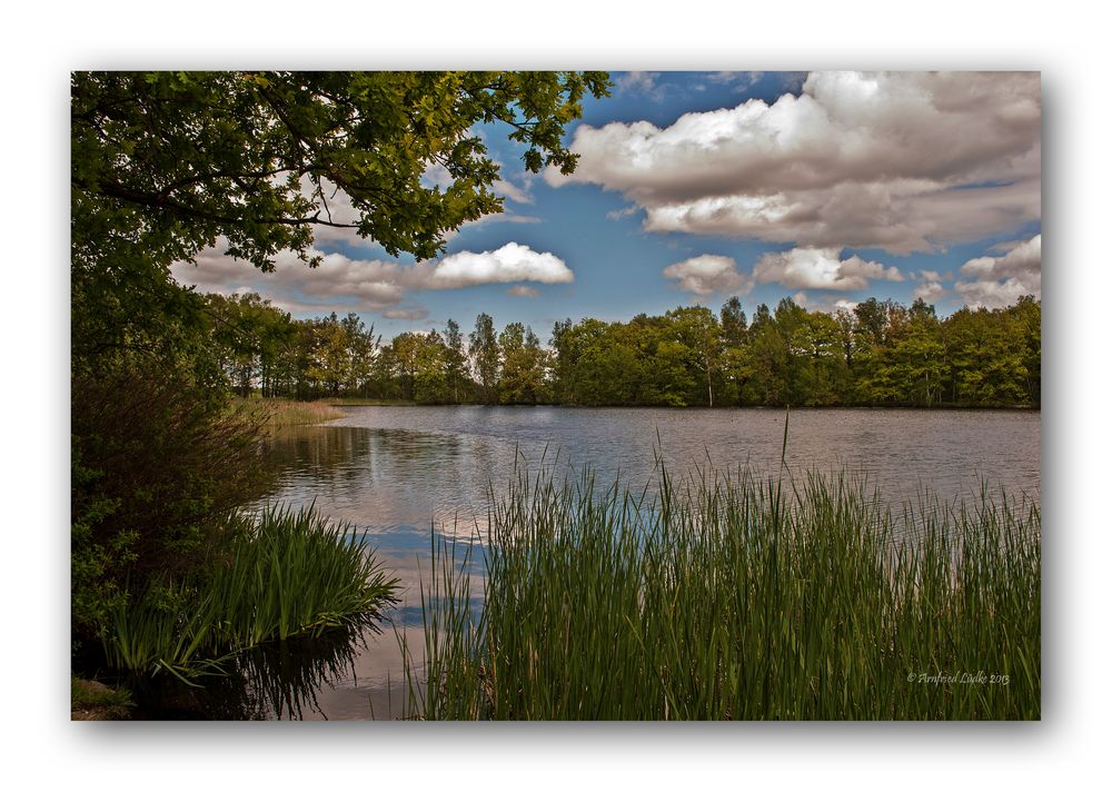 Am kleinen Filzteich