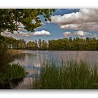 Am kleinen Filzteich