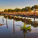 Am kleinen Hafen von Catarroja