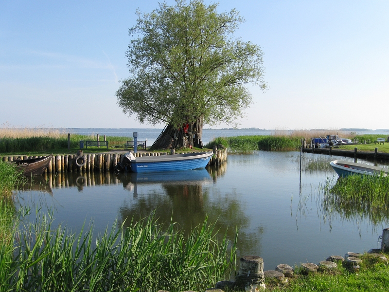 Am kleinen Hafen von Zempin auf Usedom