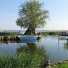 Am kleinen Hafen von Zempin auf Usedom