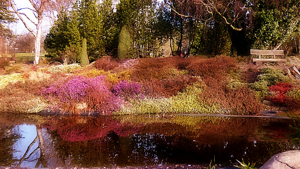 Am kleinen Heidegarten . . . Foto &amp; Bild landschaft