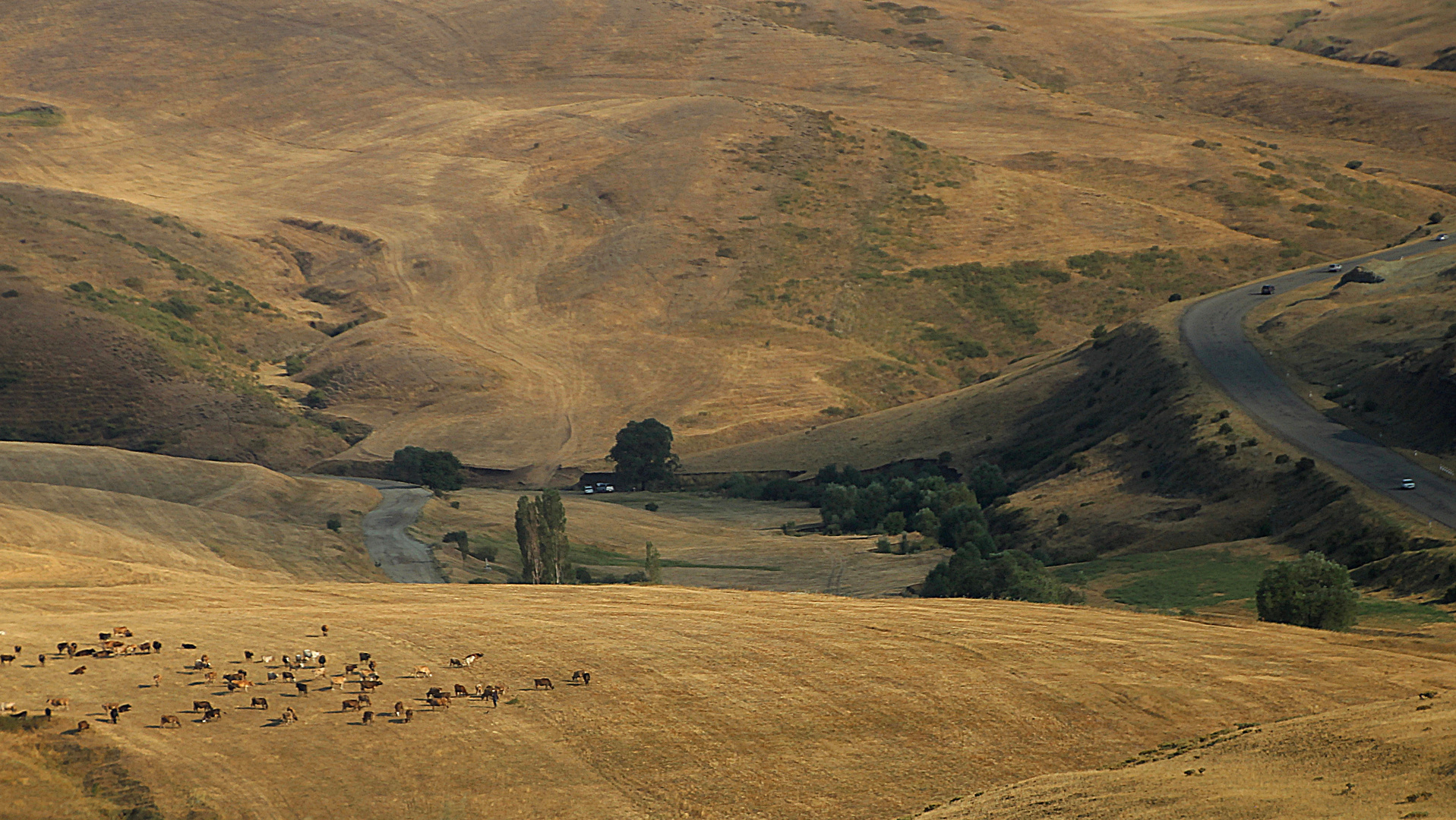 Am kleinen Kaukasus in Armenien