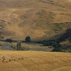 Am kleinen Kaukasus in Armenien