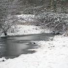 Am kleinen Pescher See