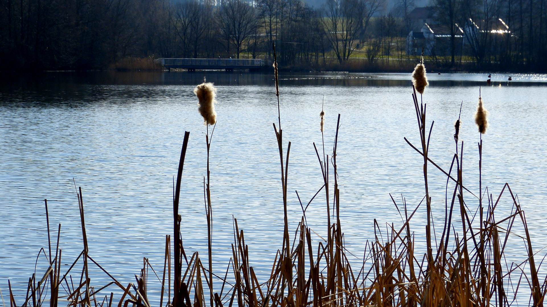 am kleinen Rothsee 1